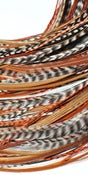 Image of Warm Naturals Mix