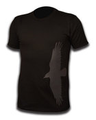 Image of Flight