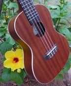 Image of Kala Mahogany Concert w/ Uke Bag