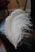 Image of Ostrich Feather Earings