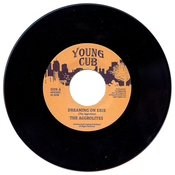 Image of The Aggrolites - "Dreamin on Erie" 45