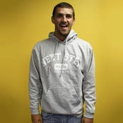 Image of Gray Hoodie
