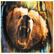 Image of Bears 'n Lazers