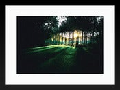 Image of In Search Of: Magic Happens