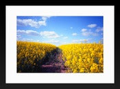 Image of In Search Of: Dynamic Range