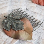 Image of Maple Syrup Comb