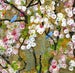 Image of Painting Original Canvas Lexicon Tree #1