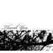 Image of magnolia tree thank you
