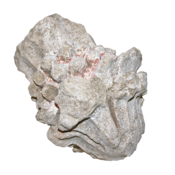 Image of Acantus & Grapes Object