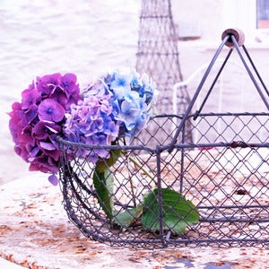 Image of Vintage French Wire Basket