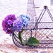 Image of Vintage French Wire Basket