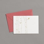 Image of Birch Trees