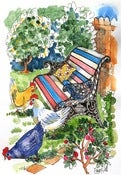Image of Frontyard Chooks, Manly