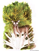 Image of Five-Horned Stag, screenprint