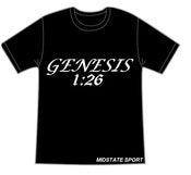 Image of GENESIS 1