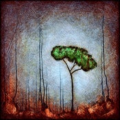 Image of "Drip Tree Peace 1 Blue" <br> Sizes: 4x4", 6x6", 8x8", 12x12" 