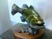 Image of TC LARGE BASS BRONZ
