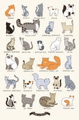 Image of 11x17 Print -  Cat Breeds
