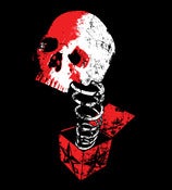 Image of Skull in the Box