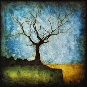Image of "Horizon Tree Dormant 1" <br> Sizes: 4x4", 6x6" & 8x8"
