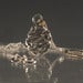Image of dual length textured pendant necklace