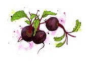 Image of Beetroot
