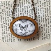Image of 'Butterfly Collection' Framed Pendant