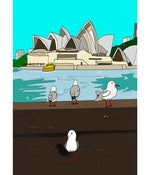 Image of Gulls