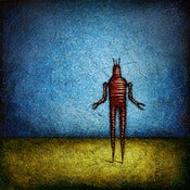 Image of "Horizon RobotC -1 Blue/Red" <br> Sizes: 4x4", 6x6", 8x8", 12x12" 