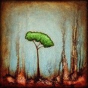 Image of "Drip Tree Peace 2" <br> Sizes: 4x4", 6x6", 8x8", 12x12" 