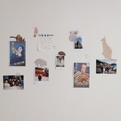 Image of MINI Australiana