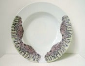 Image of M&A Ceramics: Villi and microvilli plate