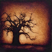 Image of "Horizon Tree Baobab 2 Brown" <br> Sizes: 4x4", 6x6", 8x8", 12x12" 