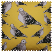 Image of pigeon fabric