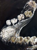 Image of Jawbone