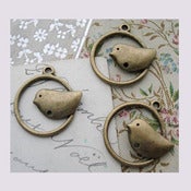Image of charm's oiseaux
