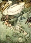 Image of Alice in Wonderland: 8 7x5 Prints by Arthur Rackham