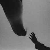 Image of 'Touch' 8 x 10 Limited edition fine art print