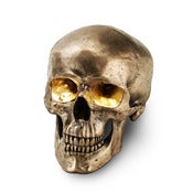 Image of Head Light