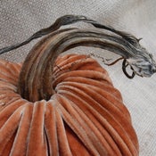 Image of Velvet Plush Pumpkin Jumbo