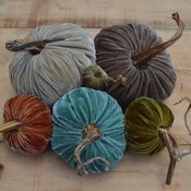 Image of Velvet Plush Pumpkin Cozy Nest Large Set