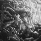 Image of 'Sea Noodles 2' Limited edition fine art print