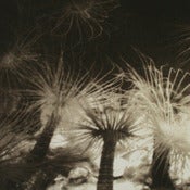 Image of 'Octopus's Garden' Limited edition fine art print 