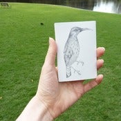 Image of Zine - Humble birds