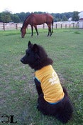 Image of Cross Bones - Doggie T