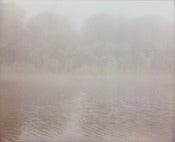 Image of photographic print, fog 1, 6x8"