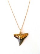 Image of Gold Shark Tooth necklace