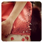 Image of Red Mushroom Pouch