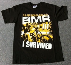 Image of BMR 2011