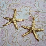 Image of starfish earrings